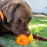Rogz Yumz Дъвчаща играчка в оранжев цвят с голям размер 15 см